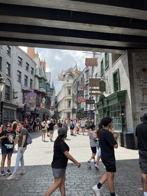 IMG_7182.JPEG
