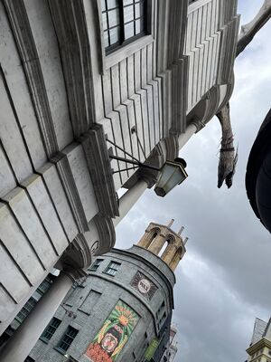 IMG_7201.JPEG