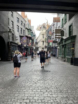 IMG_7286.JPEG