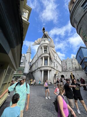 IMG_7302.JPEG