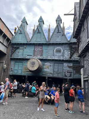 IMG_7320.JPEG