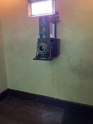 IMG_7324.JPEG