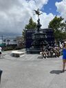 IMG_7176.JPEG