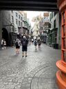 IMG_7285.JPEG