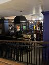 IMG_7292.JPEG