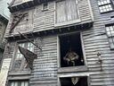 IMG_7321.JPEG